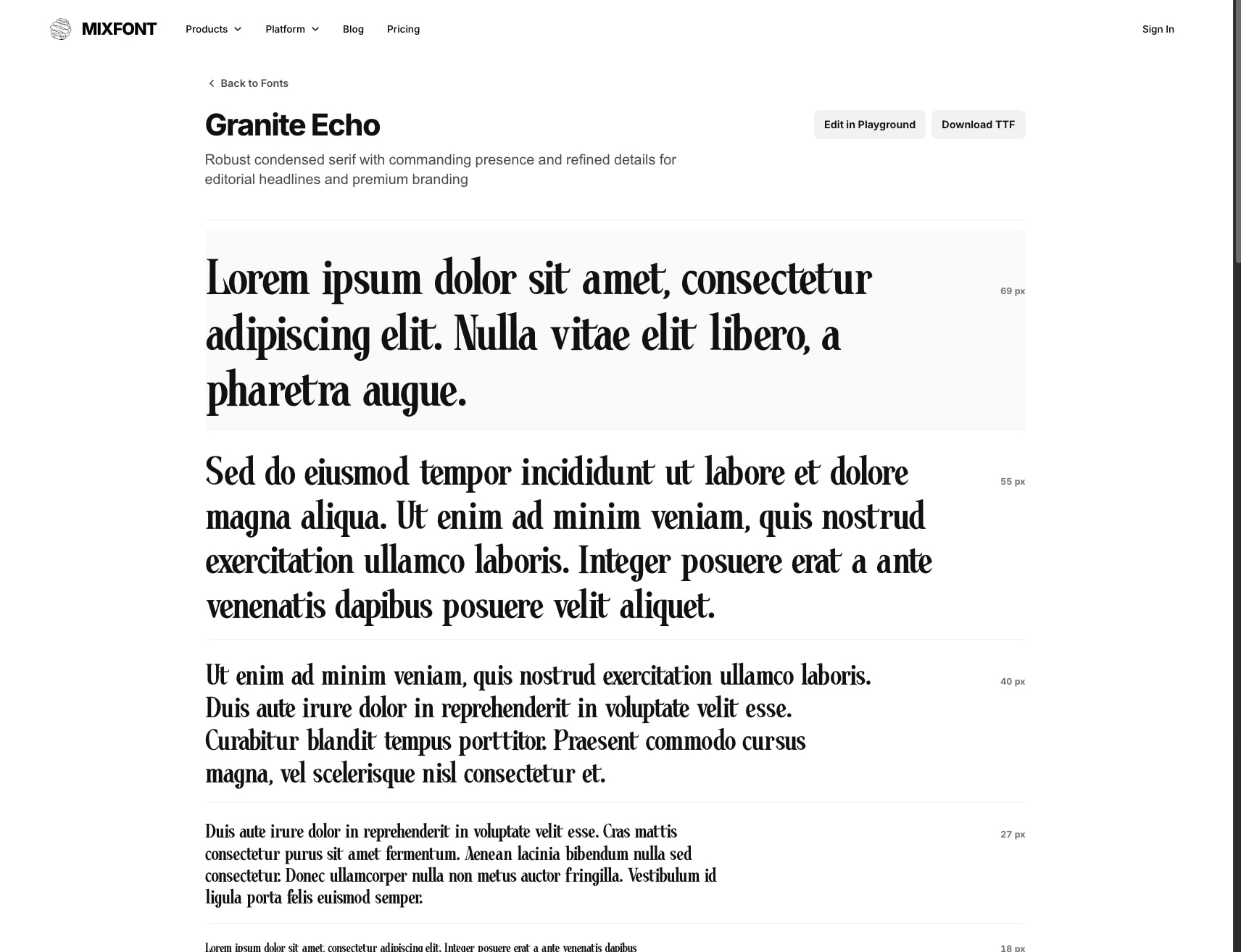 Granite Echo Font | Mixfont captured website design