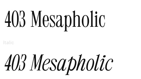 403 Mesapholic, Serif Font | Supply.Family captured website design