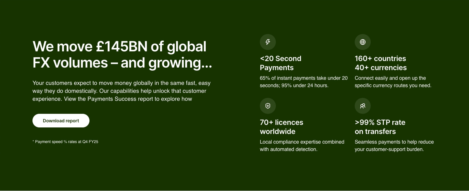 Wise Platform | Payments infrastructure to power the world’s money captured website design
