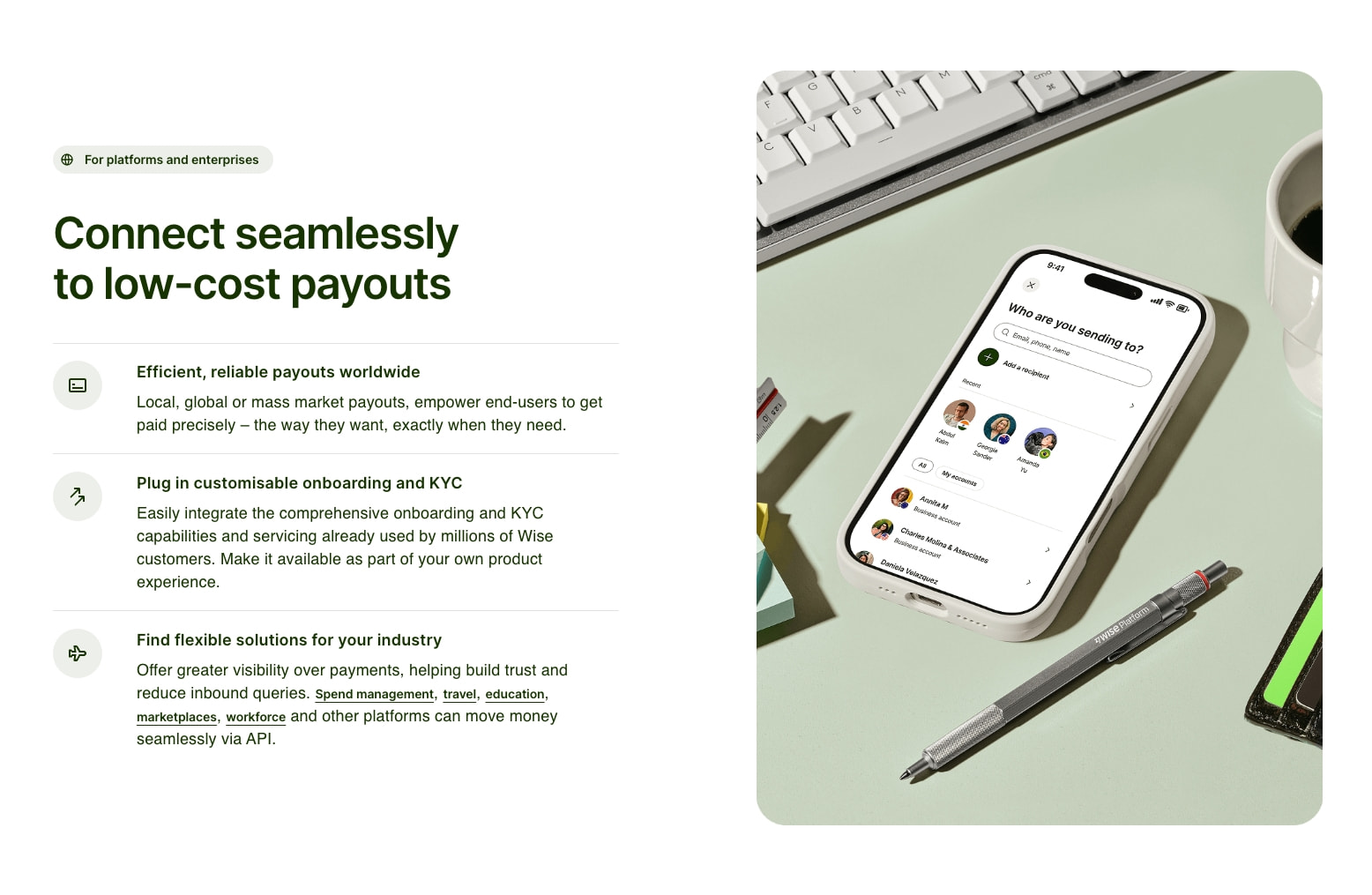 Wise Platform | Payments infrastructure to power the world’s money captured website design