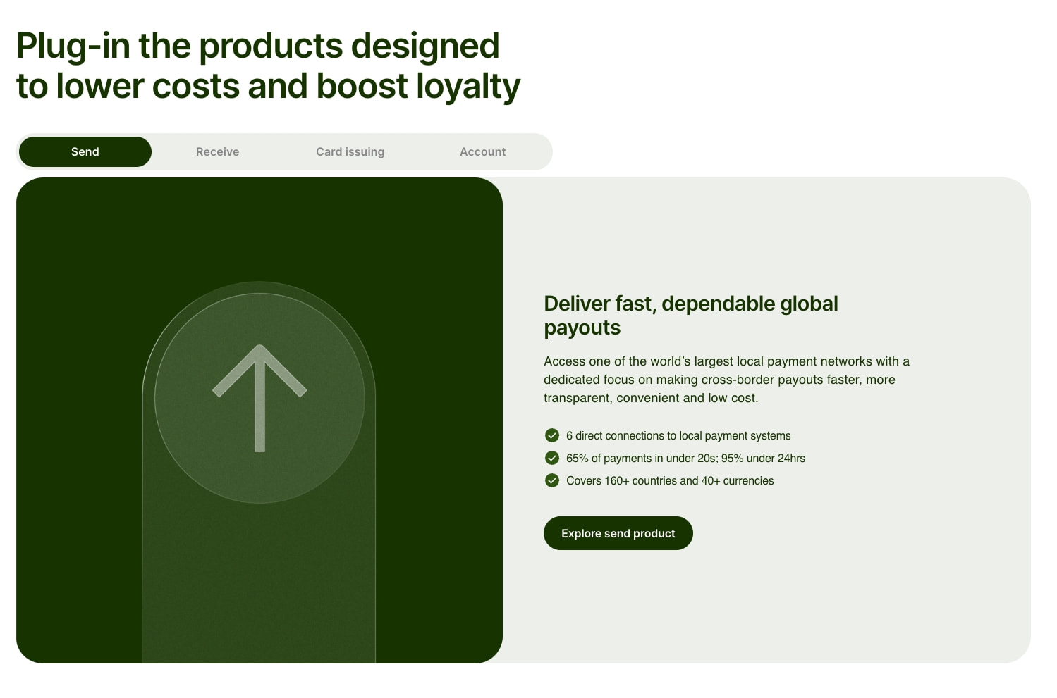 Wise Platform | Payments infrastructure to power the world’s money captured website design