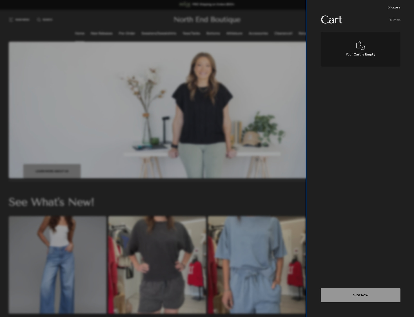 North End Boutique - Women's Clothing & Accessories Boutique captured website design